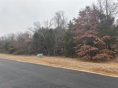 105A Stonewolf Ct, Gordonville, TX 76245 - photo 4