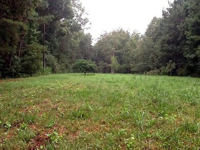 summitt plantation 7