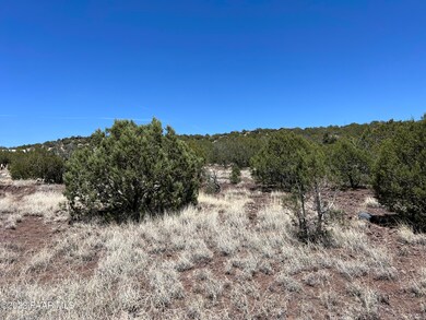 48225 N Steve Ln, Ash Fork, AZ 86320 - photo 3