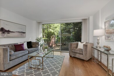 845 3rd St SW unit 301, Washington, DC 20024 - photo 4