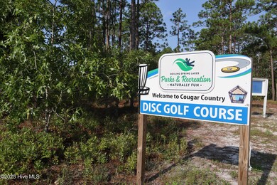 Disk Golf 2