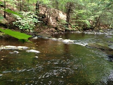 0 Tolman Rd, Harrison, ME 04040 - photo 7