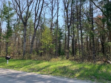 V/L S Rd, Baldwin, MI 49304 - photo 3