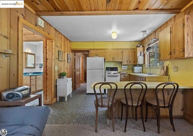 Kitchen featuring carpet flooring, wooden walls, white appliances, and kitchen peninsula