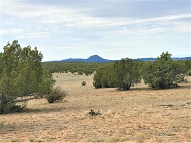 65 Poppy Rd, Ash Fork, AZ 86320 - photo 3
