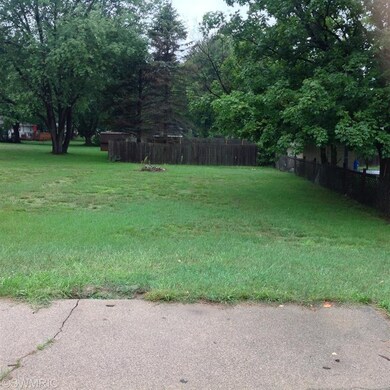 Large Backyard