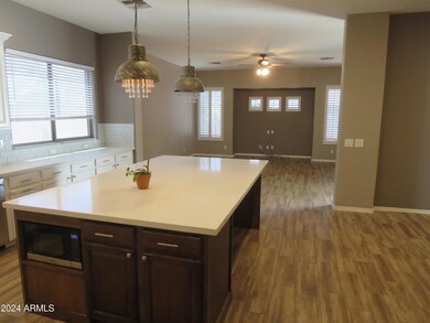 Kitchen into family room