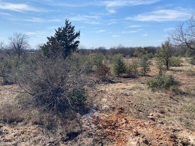 1295 Sandy Ln, Weatherford, TX 76088 - photo 5