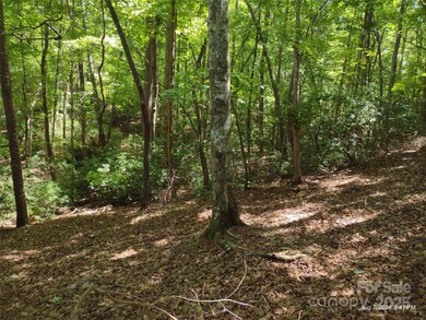 00 Shumont Estates Dr unit 50, Lake Lure, NC 28746 - photo 3