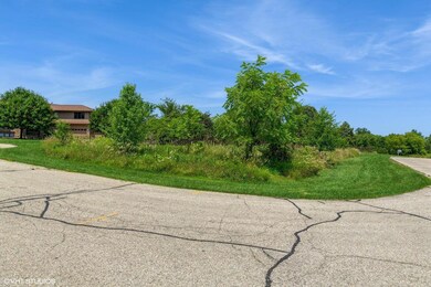 1750 WALES NW VIEW OF LOT
