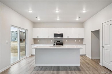 2146 Flower Blossom Ave, Brighton, CO 80601 - photo 3