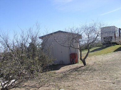 Garden shed