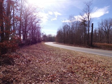 0 Stonewall Rd unit 16 41395, Concord, VA 24538 - photo 6