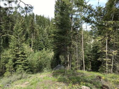 3.65 Wooded Acres in a New Phase of Eagle Nest Sub
