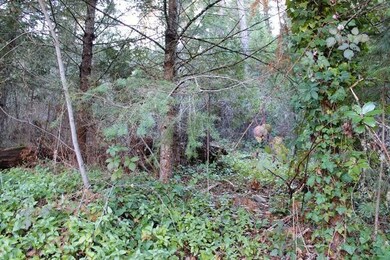 6105 Rogue River Hwy, Rogue River, OR 97537 - photo 7