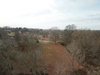 602 Raum Park Dr, Golconda, IL 62938 - photo 5