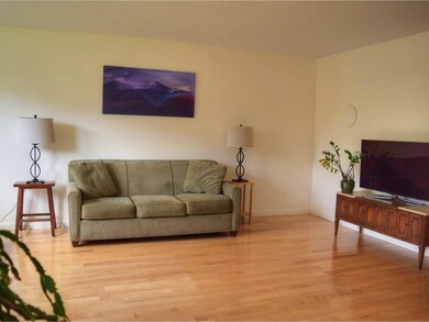 144 N Twin Oaks Terrace, South Burlington, VT 05403 - photo 5