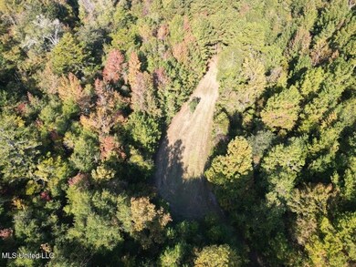 5098 New Hope Rd, Gloster, MS 39638 - photo 7