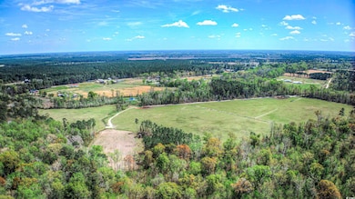 TBD Roleighn Rd, Conway, SC 29526 - photo 4