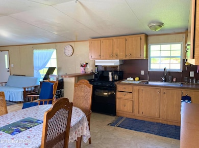 215 Central Ave, Lancing, TN 37770 - photo 5