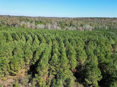 0 Highway 82 N, Eufaula, AL 36027 - photo 2