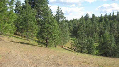 1302 W Wild Rose Rd, Colbert, WA 99005 - photo 7