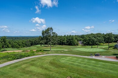 14 Mountain Laurels Dr unit U302, Nashua, NH 03062 - photo 3