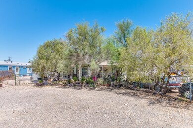 part of large backyard
