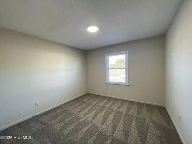 219 Appaloosa Dr, Jacksonville, NC 28540 - photo 6