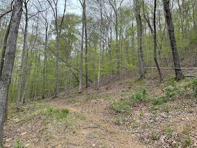 43 Deer Run Ln, Campton, KY 41301 - photo 5