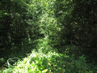 2.20 ac Buck Mountain Rd, Cookeville, TN 38506 - photo 2