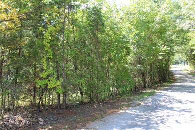 0 Higginbotham Rd unit RTC2433863, Mc Minnville, TN 37110 - photo 3