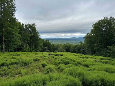 0 Spruce Grove Rd unit 5035135, Wilmington, VT 05363 - photo 2