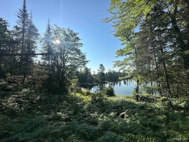 Off Indian Lake Rd, Michigamme, MI 49861 - photo 7