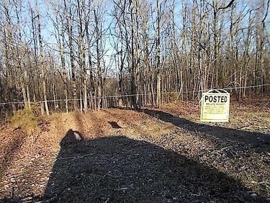 0 State Highway 248 unit 60105000, Jenkins, MO 65605 - photo 3