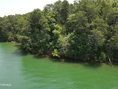 TBD Needles Way, Sevierville, TN 37876 - photo 3