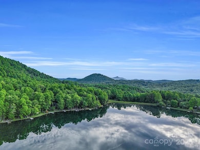 87 Pole Cat Rd unit 4A, Saluda, NC 28773 - photo 5