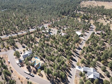 1040 S Redberry Dr, Show Low, AZ 85901 - photo 4