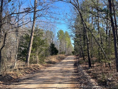 327 Bailey Blvd, Tahlequah, OK 74464 - photo 7