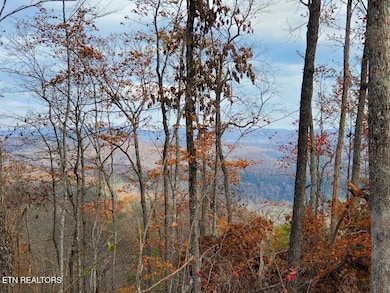 0 Bull Creek Lot H Rd, Huntsville, TN 37756 - photo 2