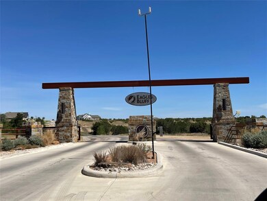 2116 Eagles Ridge Dr, Weatherford, TX 76087 - photo 3