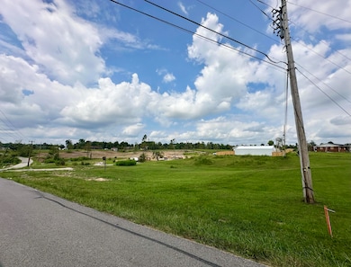 184 McGill Pine Grove Rd, London, KY 40744 - photo 3