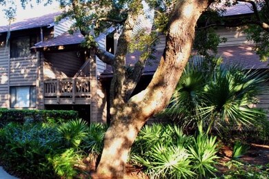 269 Moss Oak Ln, Saint Simons Island, GA 31522 - photo 3