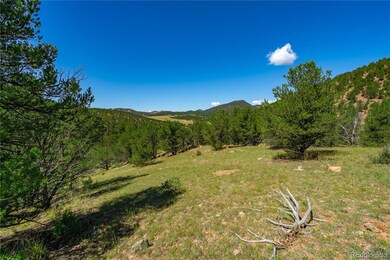 Lot 9 Sundance Rd, Cotopaxi, CO 81223 - photo 4