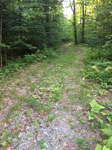 1735 Manns Hill Rd unit 1, Littleton, NH 03561 - photo 6