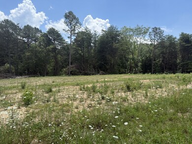 0 Coal Rd unit RTC2930385, Jamestown, TN 38556 - photo 2