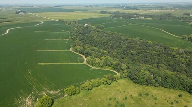 21 Acre Drone 08192419.png