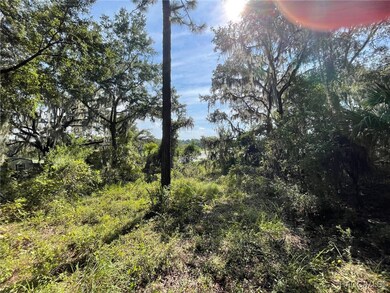 LOTS 13, 14 SW Shorewood Dr, Dunnellon, FL 34431 - photo 5