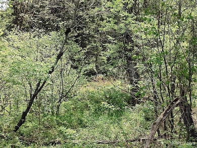 TBD Dunham Rd, Marenisco, MI 49947 - photo 5