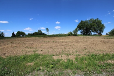 4773 McMinnville Hwy, Smithville, TN 37166 - photo 3